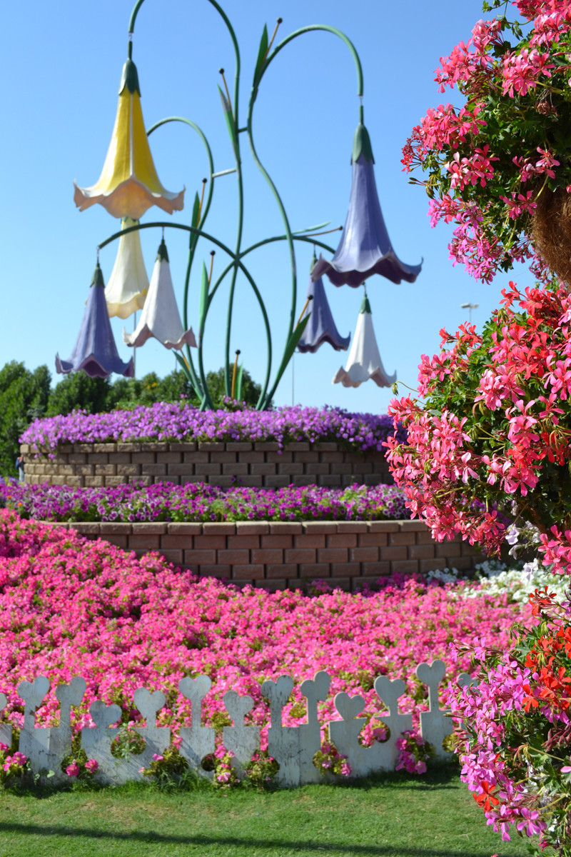 dubai flower garden