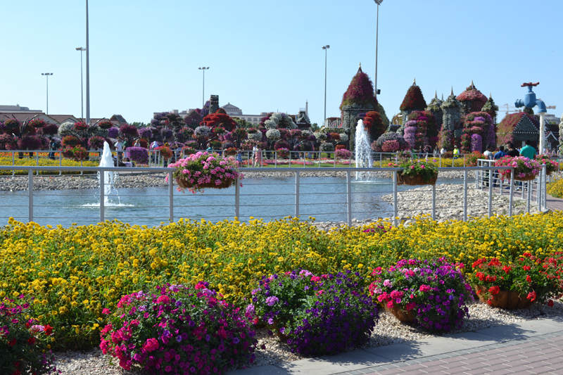 Dubai miracle garden fountain