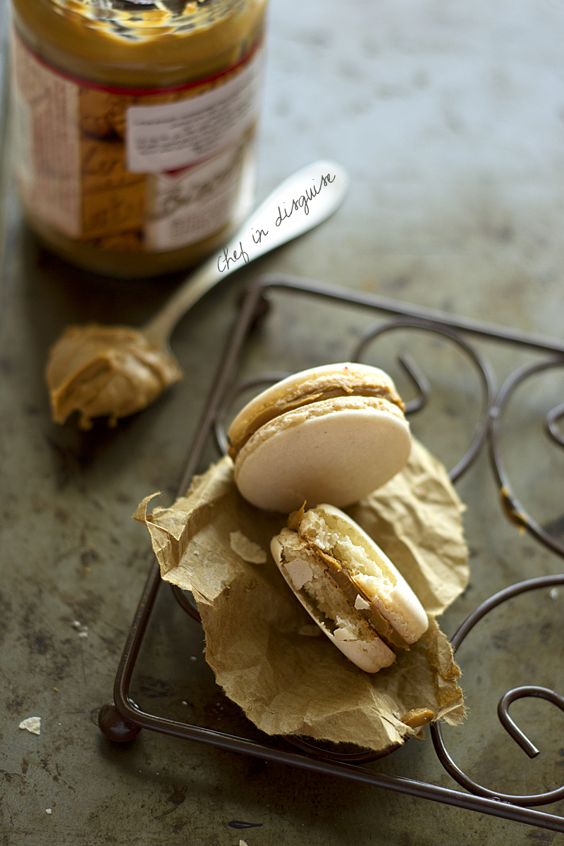 macarons with biscoff filling