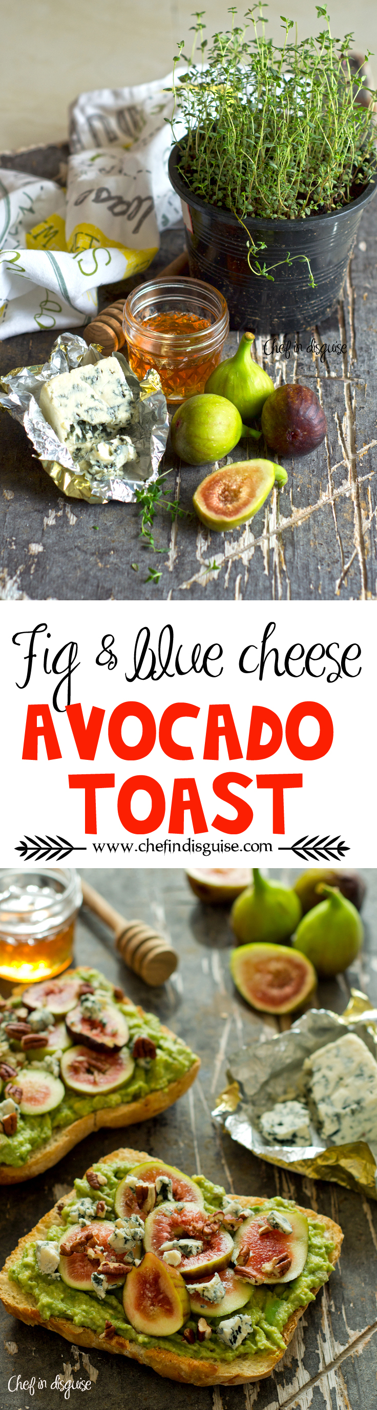 fig and blue cheese.jpg